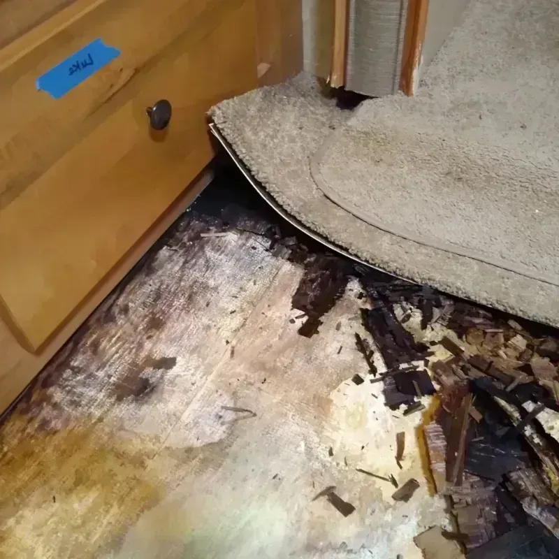 Wood Floor Water Damage in Superior, NE